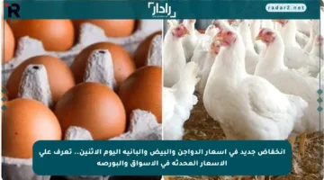 انخفاض جديد في أسعار الدواجن والبيض والبانية اليوم الاثنين.. تعرف على الأسعار المحدثة في الأسواق والبورصة